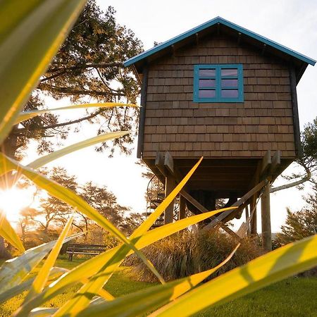 Tui Ridge Eco Cabins Aongatete المظهر الخارجي الصورة