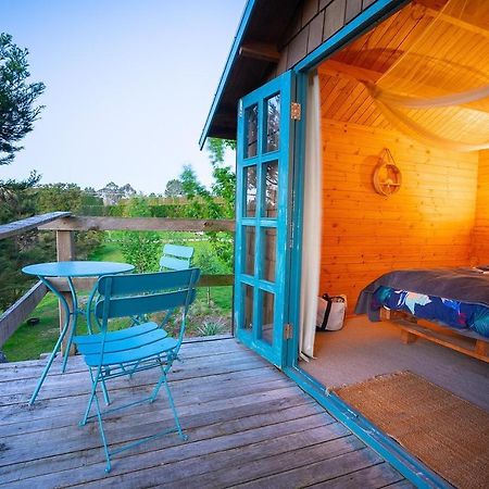 Tui Ridge Eco Cabins Aongatete المظهر الخارجي الصورة