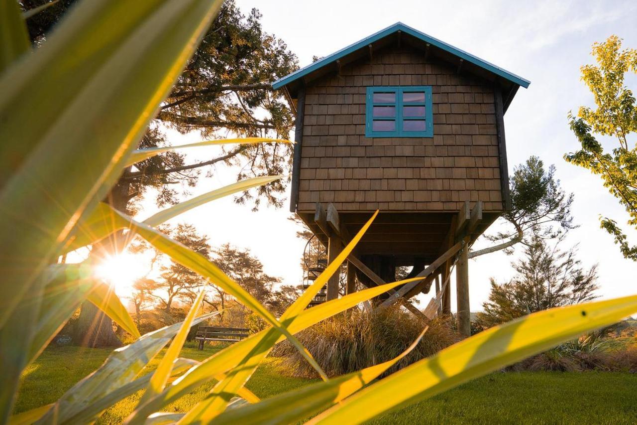 Tui Ridge Eco Cabins Aongatete المظهر الخارجي الصورة