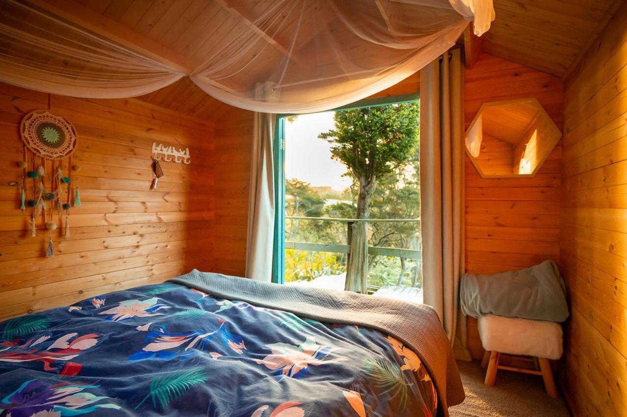 Tui Ridge Eco Cabins Aongatete المظهر الخارجي الصورة