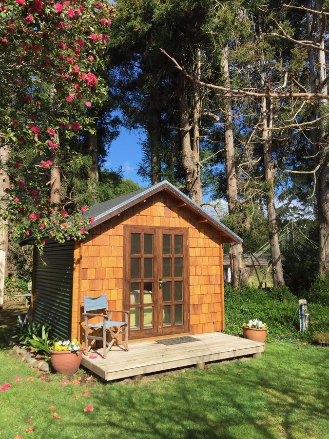 Tui Ridge Eco Cabins Aongatete المظهر الخارجي الصورة