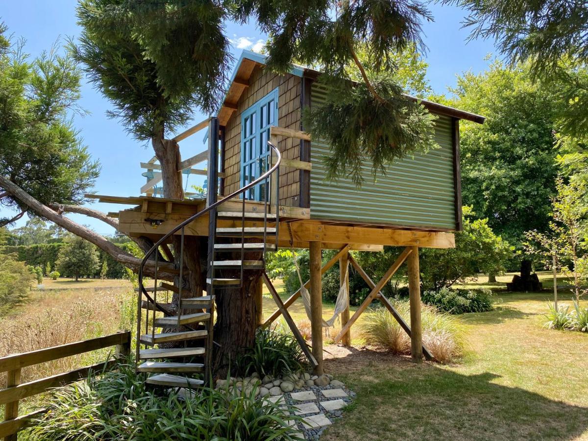 Tui Ridge Eco Cabins Aongatete المظهر الخارجي الصورة