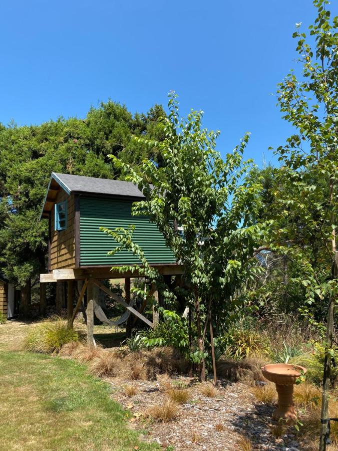 Tui Ridge Eco Cabins Aongatete المظهر الخارجي الصورة