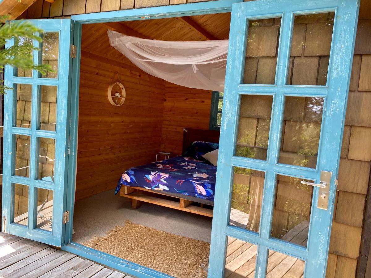 Tui Ridge Eco Cabins Aongatete المظهر الخارجي الصورة
